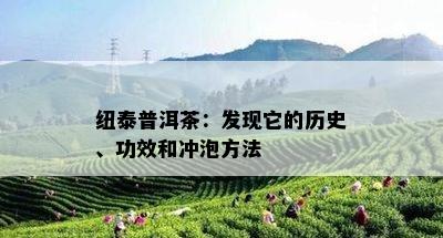 纽泰普洱茶：发现它的历史、功效和冲泡方法