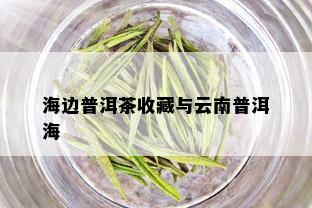 海边普洱茶收藏与云南普洱海