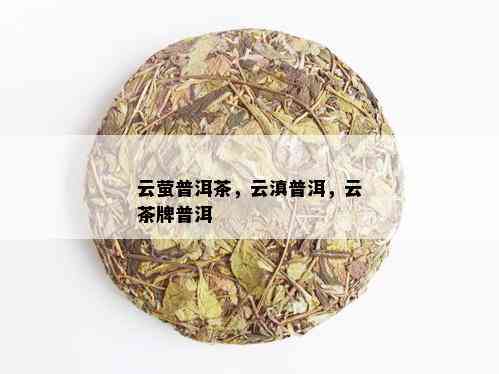 云萤普洱茶，云滇普洱，云茶牌普洱