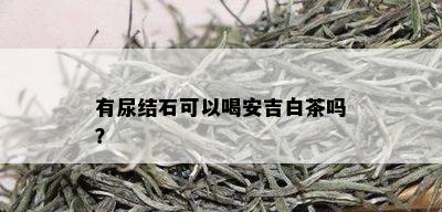 有尿结石可以喝安吉白茶吗？