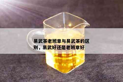 易武茶老班章与易武茶的区别，易武好还是老班章好