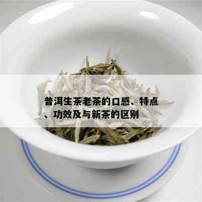 普洱生茶老茶的口感、特点、功效及与新茶的区别