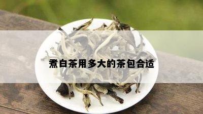 煮白茶用多大的茶包合适