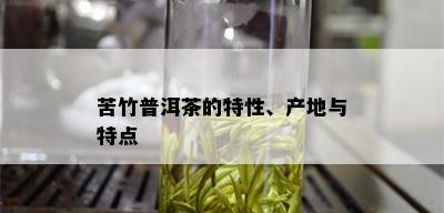 苦竹普洱茶的特性、产地与特点