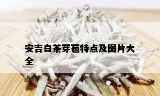 安吉白茶芽苞特点及图片大全