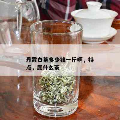 丹霞白茶多少钱一斤啊，特点，属什么茶