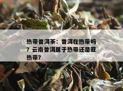 热带普洱茶：普洱在热带吗？云南普洱属于热带还是亚热带？