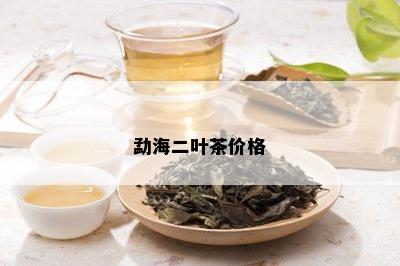 勐海二叶茶价格