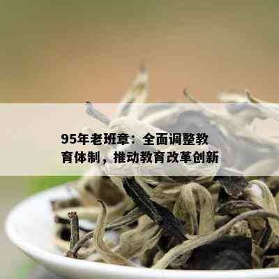 95年老班章：全面调整教育体制，推动教育改革创新