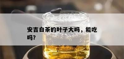 安吉白茶的叶子大吗，能吃吗？