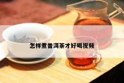 怎样煮普洱茶才好喝视频