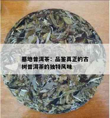 墓地普洱茶：品鉴真正的古树普洱茶的独特风味