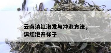 云南滇红泡发与冲泡方法，滇红泡开样子