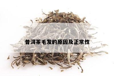 普洱茶毛发的原因及正常性