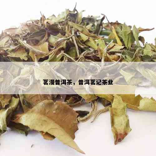 茗漫普洱茶，普洱茗记茶业