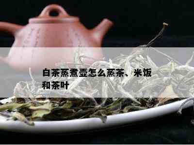 白茶蒸煮壶怎么蒸茶、米饭和茶叶