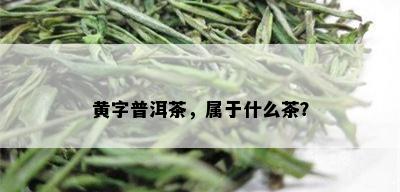 黄字普洱茶，属于什么茶？