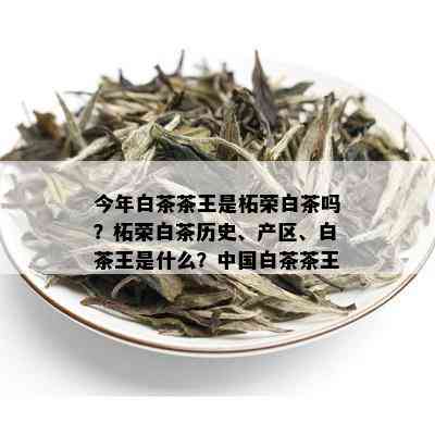 今年白茶茶王是柘荣白茶吗？柘荣白茶历史、产区、白茶王是什么？中国白茶茶王