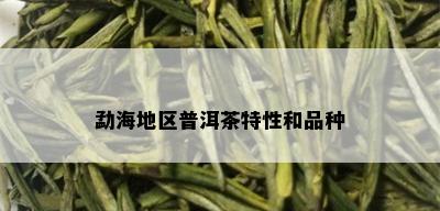 勐海地区普洱茶特性和品种