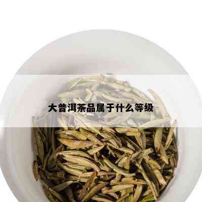 大普洱茶品属于什么等级