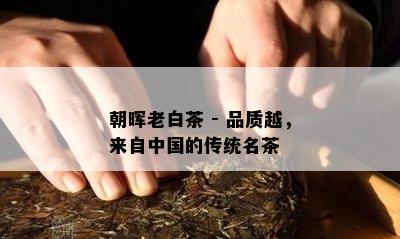 朝晖老白茶 - 品质越，来自中国的传统名茶