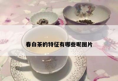 春白茶的特征有哪些呢图片