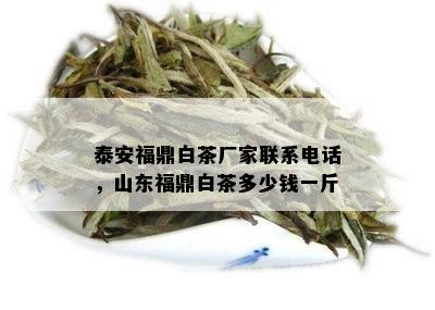 泰安福鼎白茶厂家联系电话，山东福鼎白茶多少钱一斤