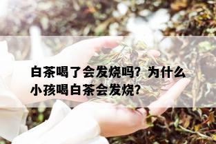 白茶喝了会发烧吗？为什么小孩喝白茶会发烧？