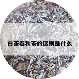 白茶春秋茶的区别是什么