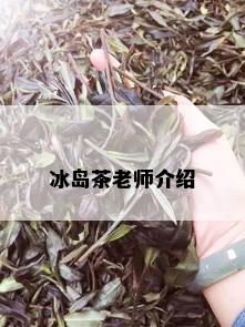 冰岛茶老师介绍