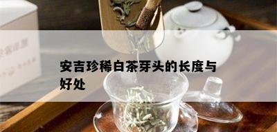 安吉珍稀白茶芽头的长度与好处