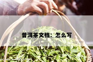 普洱茶文档：怎么写