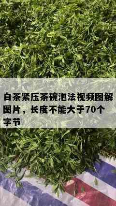 白茶紧压茶碗泡法视频图解图片，长度不能大于70个字节