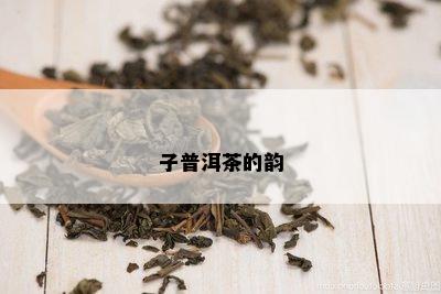 子普洱茶的韵