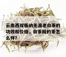 云南西双版纳无渡老白茶的功效和价格，白茶园的茶怎么样？