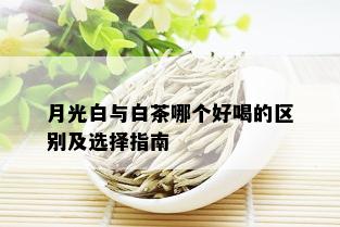 月光白与白茶哪个好喝的区别及选择指南