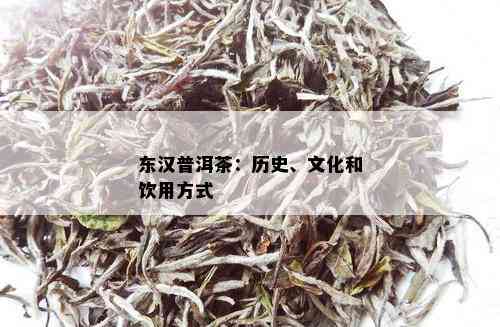 东汉普洱茶：历史、文化和饮用方式