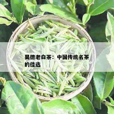 昊德老白茶：中国传统名茶的佳选