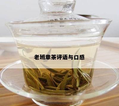 老班章茶评语与口感