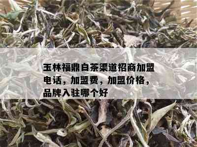 玉林福鼎白茶渠道招商加盟电话，加盟费，加盟价格，品牌入驻哪个好