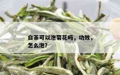 白茶可以泡菊花吗，功效，怎么泡？