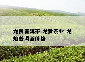 龙贤普洱茶-龙贤茶业-龙灿普洱茶价格