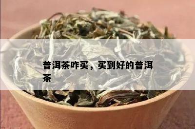 普洱茶咋买，买到好的普洱茶