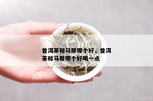 普洱茶和马帮哪个好，普洱茶和马帮哪个好喝一点