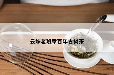 云妹老班章百年古树茶