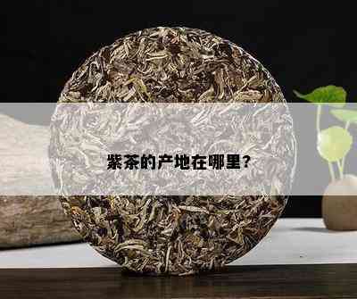 紫茶的产地在哪里?