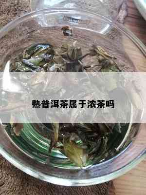 熟普洱茶属于浓茶吗