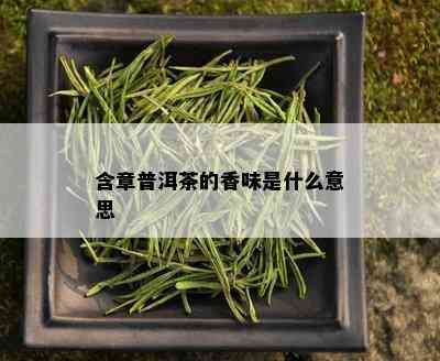 含章普洱茶的香味是什么意思