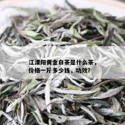 江溧阳黄金白茶是什么茶，价格一斤多少钱，功效？