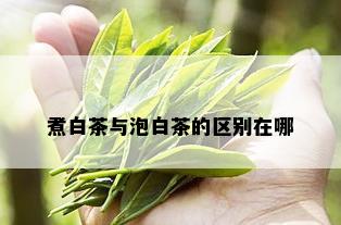 煮白茶与泡白茶的区别在哪